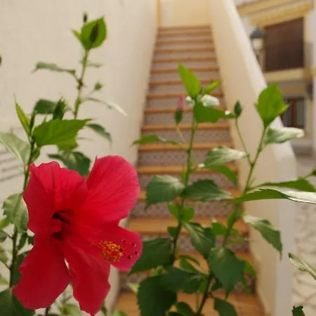 Tropical Apartamento